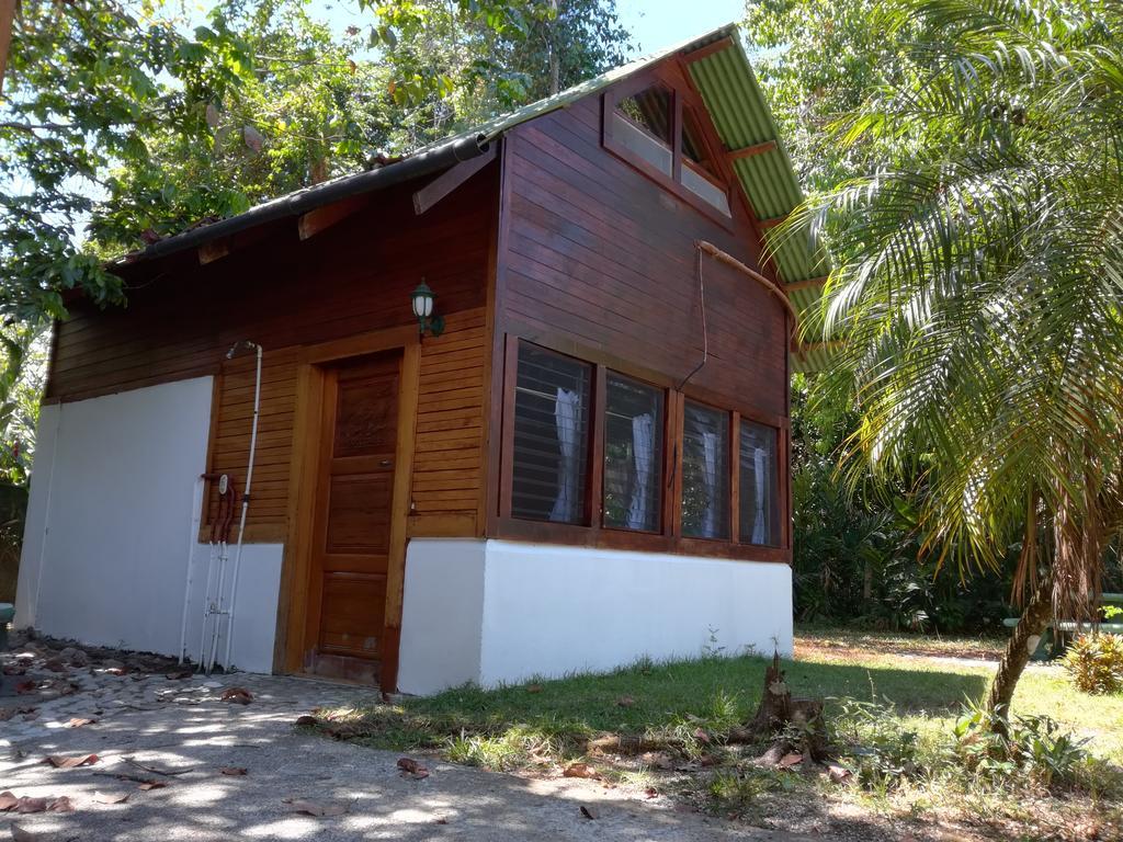 Corcovado Beach Lodge Puerto Jiménez Exterior foto